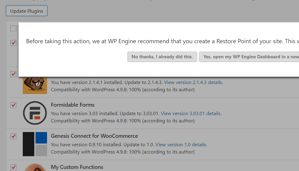 Updating WordPress plugins