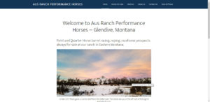 Aus Ranch Performance Horses Website