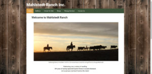 Mahlstedt Ranch Inc. Website