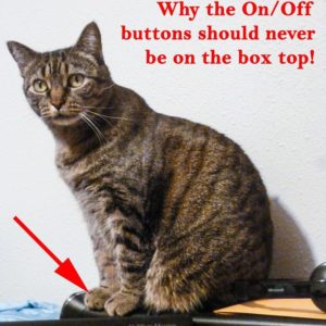 Cat on the computer - SnagIt example